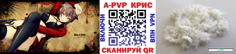 A PVP СК Черноголовка