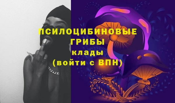Альфа ПВП Горнозаводск