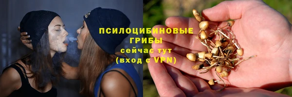 PSILOCYBIN Вязьма